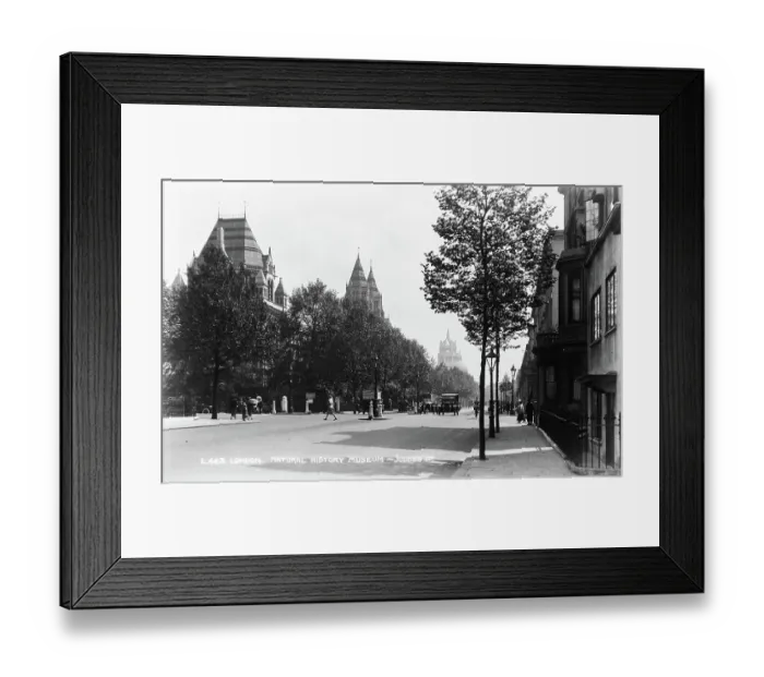 Framed Print : London Natural History Museum Framed Print : London Natural History Museum