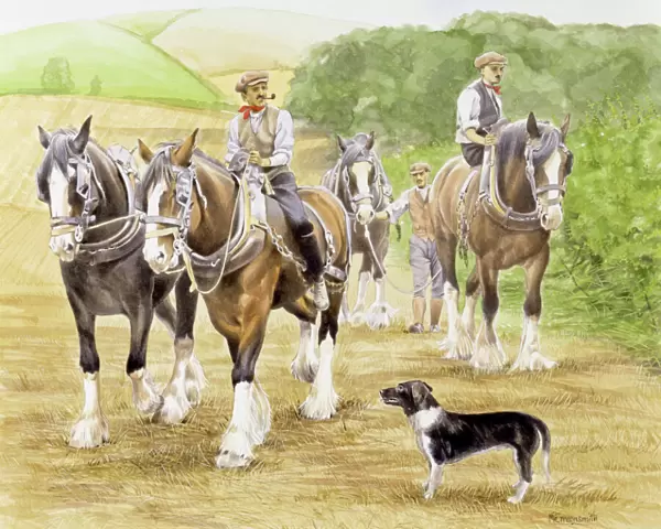 Farmers walk and lead a team of working horses