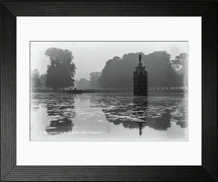 Framed Print : The Lake at Bushy Park Framed Print : The Lake at Bushy Park