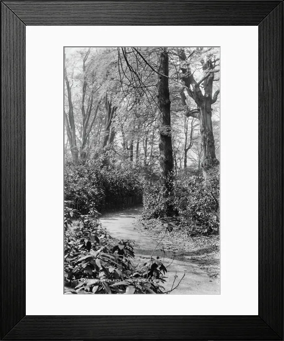 Framed Print : Pathway in Kenwood Woods Framed Print : Pathway in Kenwood Woods