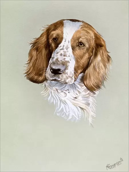 Portrait painting of a spaniel