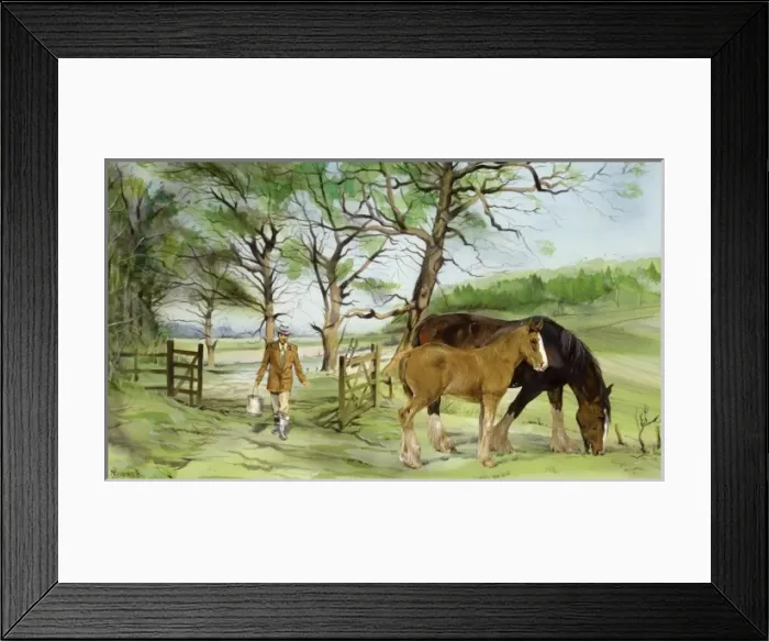 Framed Print : Feeding the horses Framed Print : Feeding the horses