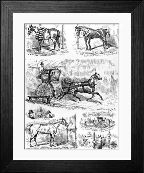 Framed Print : Cab and Cab Horse Show, Alexandra Palace, 1875 Framed Print : Cab and Cab Horse Show, Alexandra Palace, 1875