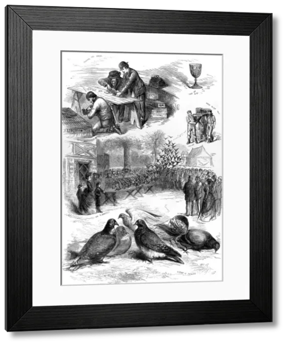 Framed Print : Homing Pigeon Contest at the Alexandra Palace, 1875 Framed Print : Homing Pigeon Contest at the Alexandra Palace, 1875