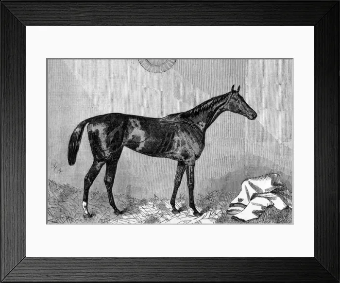 Framed Print : Hippia, winner of the 1867 Oaks Framed Print : Hippia, winner of the 1867 Oaks