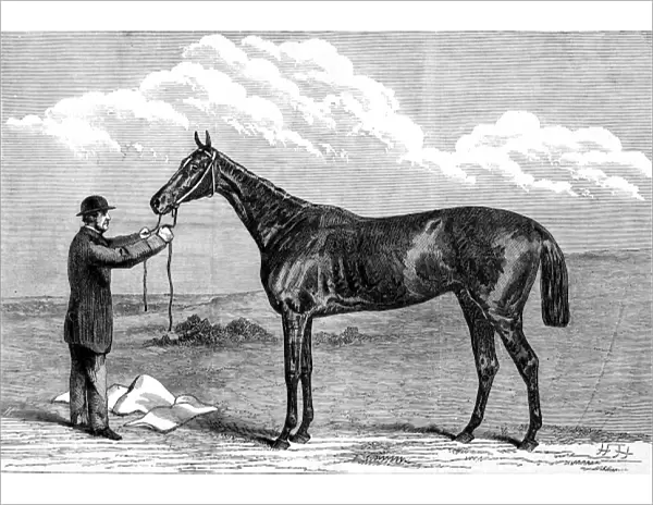 Hermit, winner of the 1867 Epsom Derby