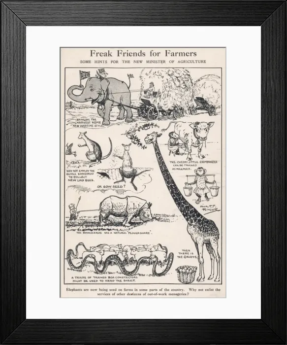 Framed Print : Freak Friends for Farmers Framed Print : Freak Friends for Farmers