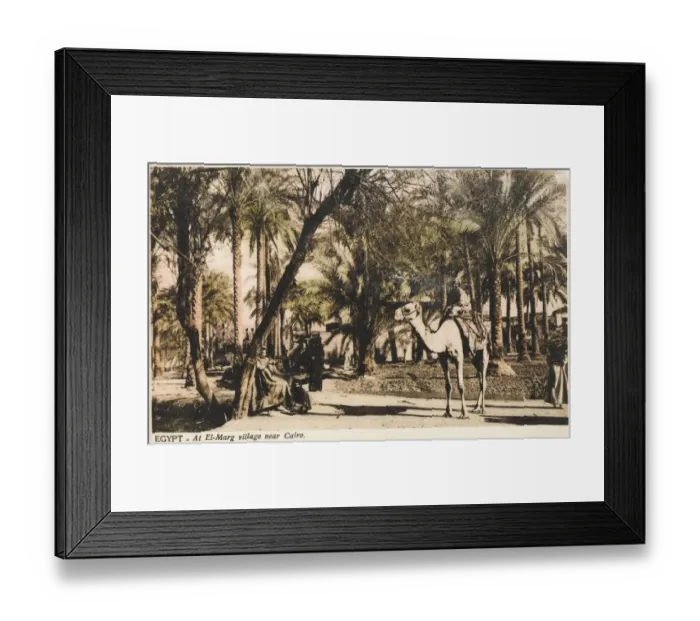 Framed Print : El-Marg village close to Cairo, Egypt Framed Print : El-Marg village close to Cairo, Egypt