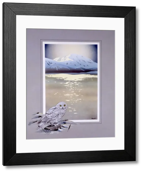 Framed Print : Winter lake with mountains with Snowy Owl Framed Print : Winter lake with mountains with Snowy Owl