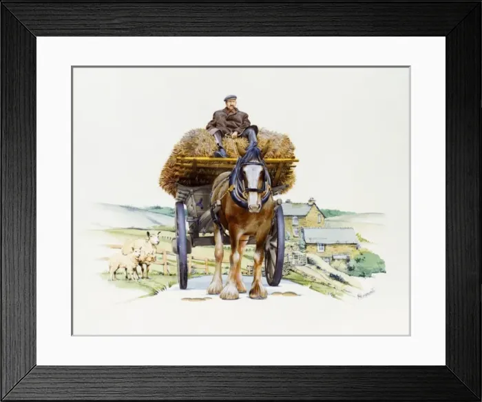 Framed Print : Shire horse pulling a hay wagon Framed Print : Shire horse pulling a hay wagon