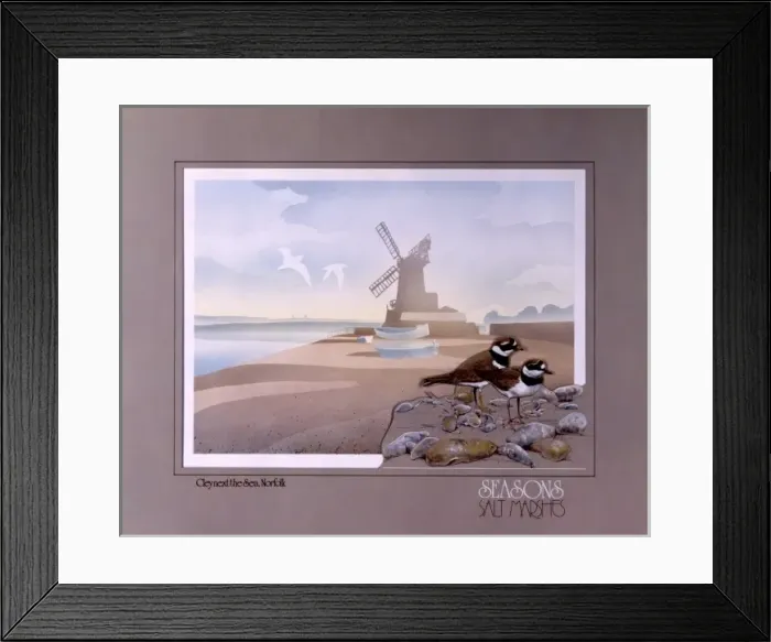 Framed Print : The Salt Marshes of Cley-next-the-Sea