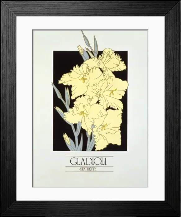 Framed Print : Gladioli blooms Framed Print : Gladioli blooms