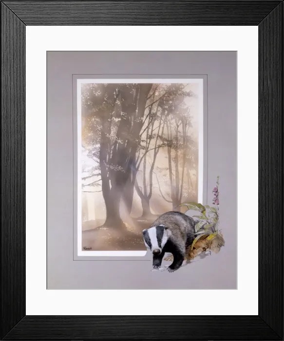 Framed Print : Light through the trees with Badger border Framed Print : Light through the trees with Badger border