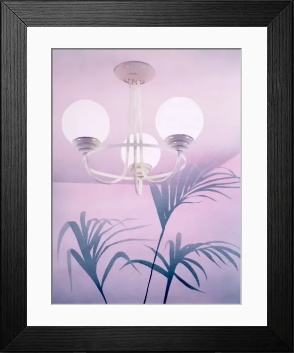 Framed Print : 1980s Interior with ceiling light and fern Framed Print : 1980s Interior with ceiling light and fern