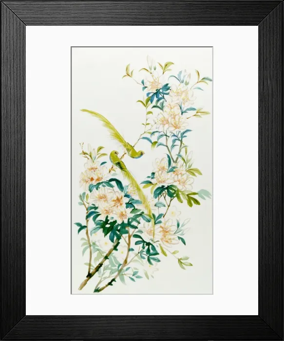 Framed Print : Birds of Paradise Framed Print : Birds of Paradise