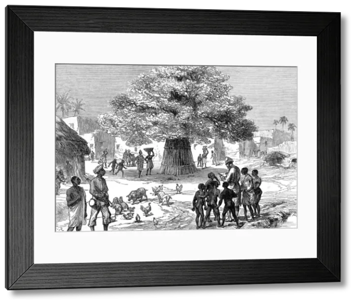 Framed Print : Fetish tree in a village near Cape Coast Castle, 1873 Framed Print : Fetish tree in a village near Cape Coast Castle, 1873