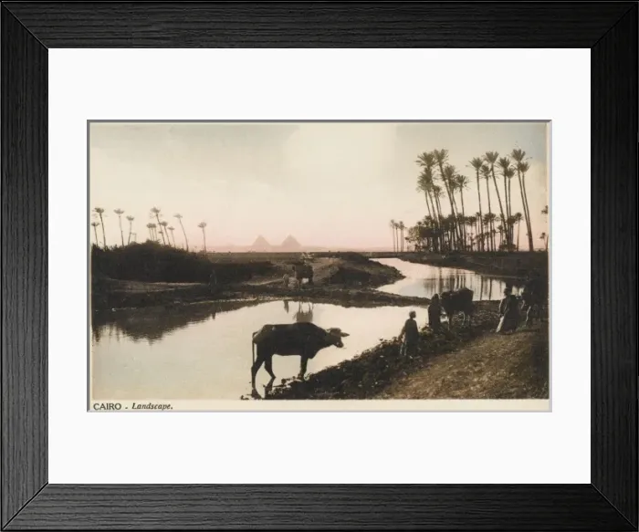 Framed Print : View toward The Pyramids Giza, Egypt Framed Print : View toward The Pyramids Giza, Egypt