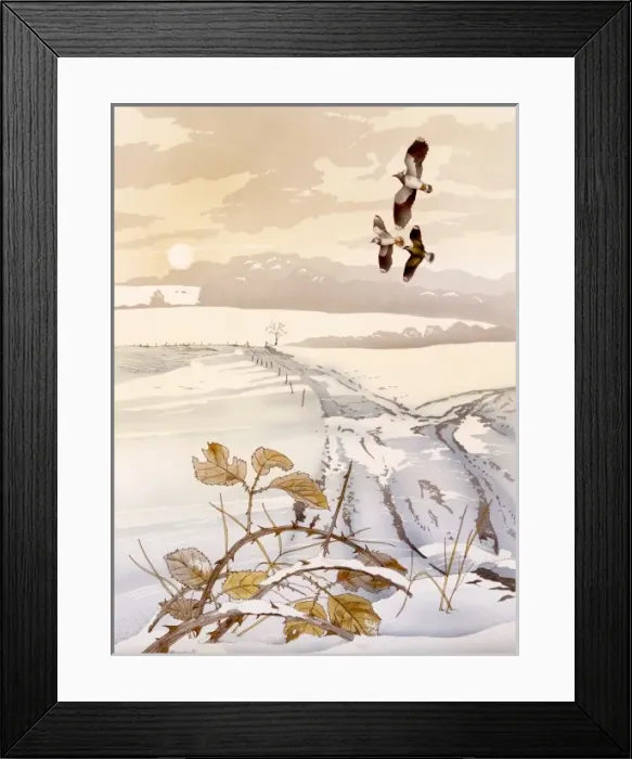 Framed Print : Winter scene with birds and snow Framed Print : Winter scene with birds and snow