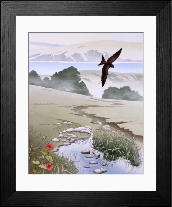 Framed Print : Rural scene with swallow and stream Framed Print : Rural scene with swallow and stream