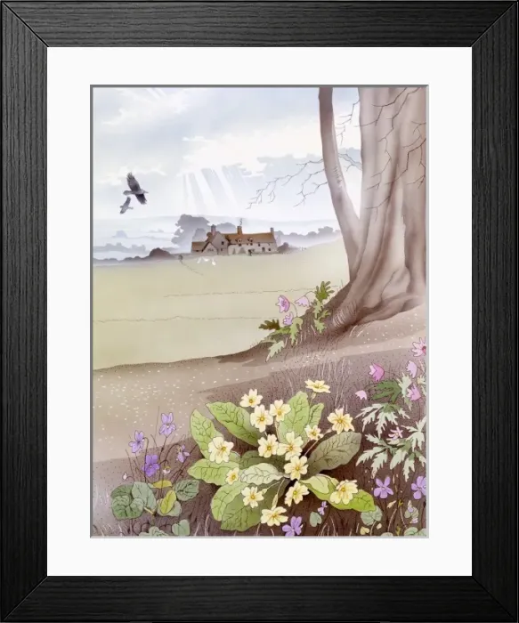 Framed Print : Rural scene with primroses Framed Print : Rural scene with primroses