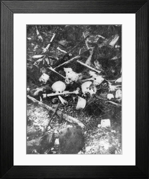 Framed Print : Bones 1916 Framed Print : Bones 1916