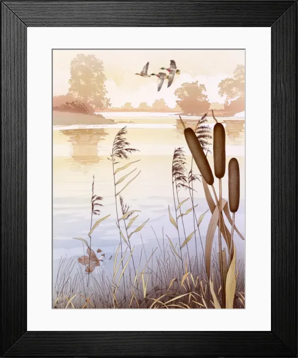 Framed Print : Country scene with water, bulrushes and flying ducks Framed Print : Country scene with water, bulrushes and flying ducks