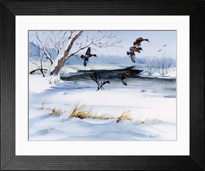 Framed Print : Winter landscape with snow and flying ducks Framed Print : Winter landscape with snow and flying ducks