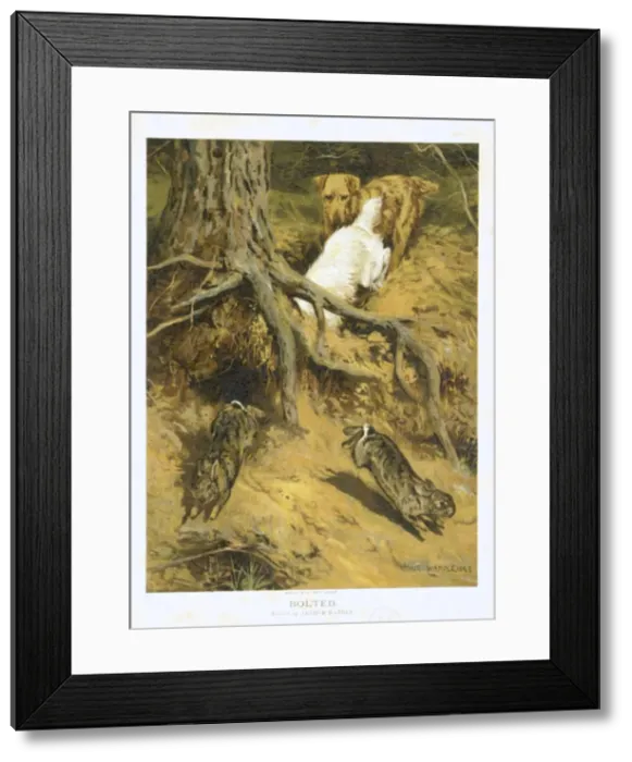 Framed Print : Bolted by Arthur Wardle Framed Print : Bolted by Arthur Wardle