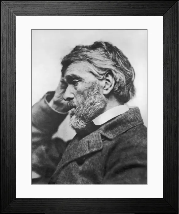 Framed Print : Thomas Carlyle (1795-1881) Framed Print : Thomas Carlyle (1795-1881)