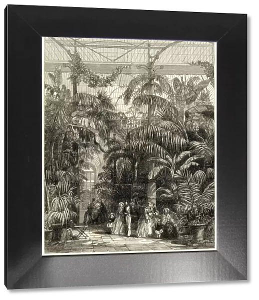 Interior of the Great Palm House, Kew Gardens, 1852