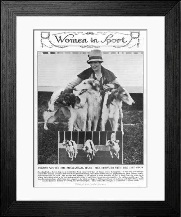 Framed Print : Home With The Milk! By Cecil Aldin Framed Print : Home With The Milk! By Cecil Aldin