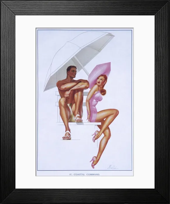 Framed Print : Coastal Command by Merlin Enabnit Framed Print : Coastal Command by Merlin Enabnit