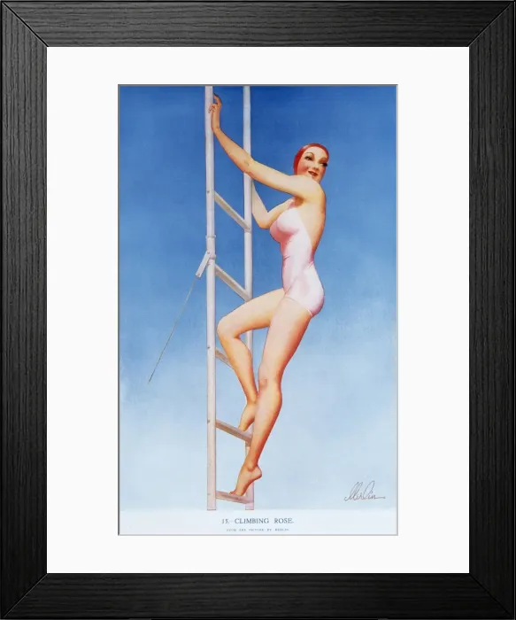 Framed Print : Climbing rose by Merlin Enabnit Framed Print : Climbing rose by Merlin Enabnit