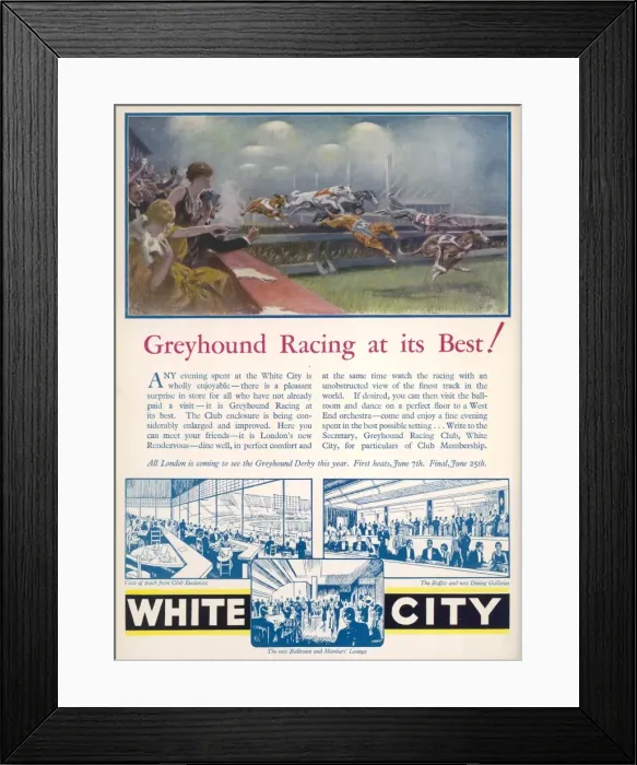 Framed Print : Greyhound Racing Advertisement Framed Print : Greyhound Racing Advertisement