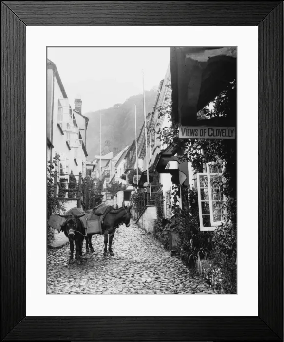 Framed Print : CLOVELLY. Donkeys in the steep, narrow main street of Clovelly, Devon Framed Print : CLOVELLY. Donkeys in the steep, narrow main street of Clovelly, Devon