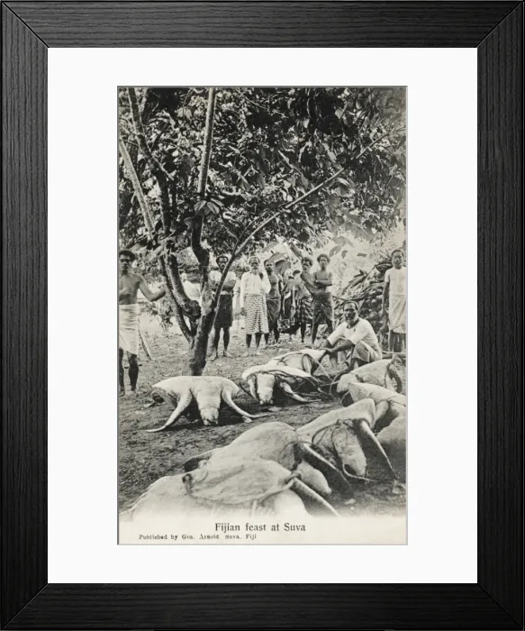 Framed Print : Fijian Feast (Giant Turtles) Framed Print : Fijian Feast (Giant Turtles)