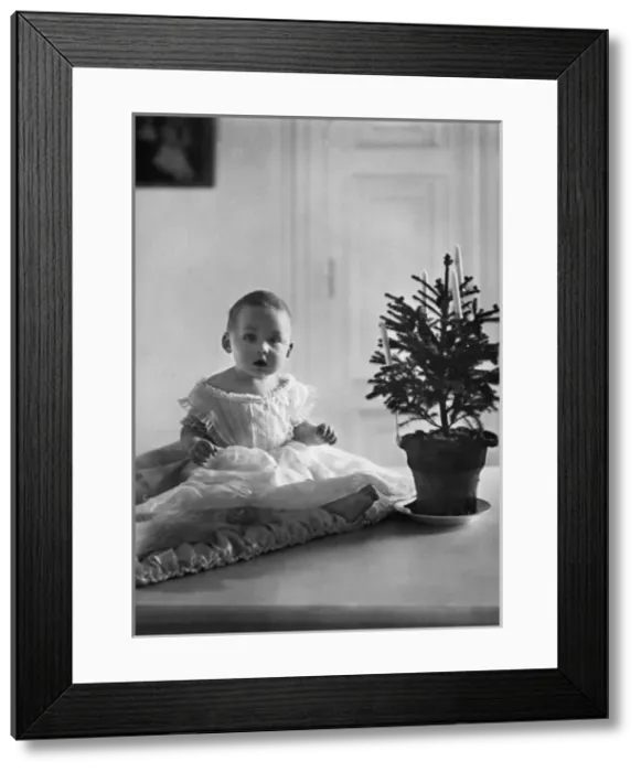 Framed Print : Prince Ernst August, Duke of Brunswick Framed Print : Prince Ernst August, Duke of Brunswick
