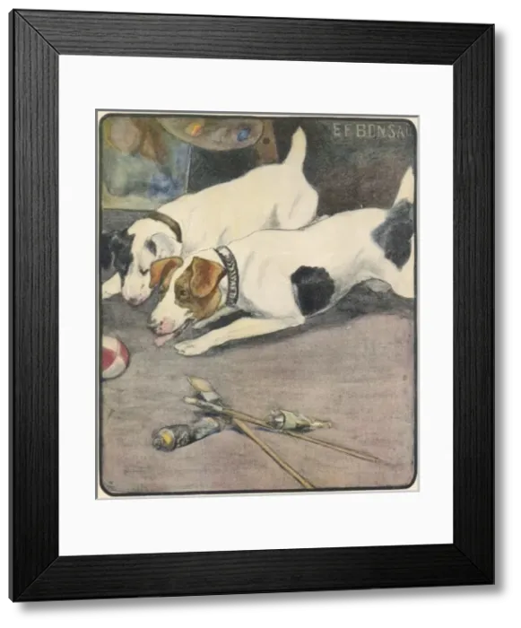 Framed Print : Sleeping Dogs Framed Print : Sleeping Dogs