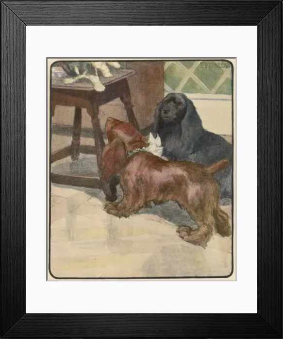 Framed Print : Two Dogs and a Cat Framed Print : Two Dogs and a Cat