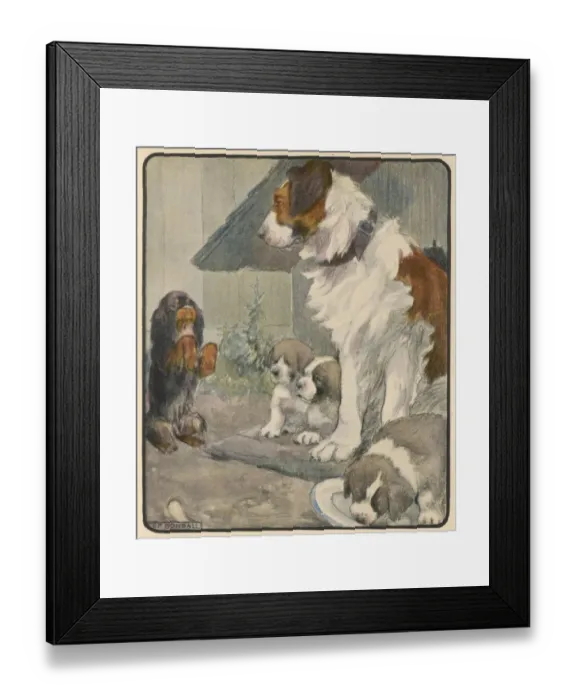 Framed Print : Respectful Dog Framed Print : Respectful Dog