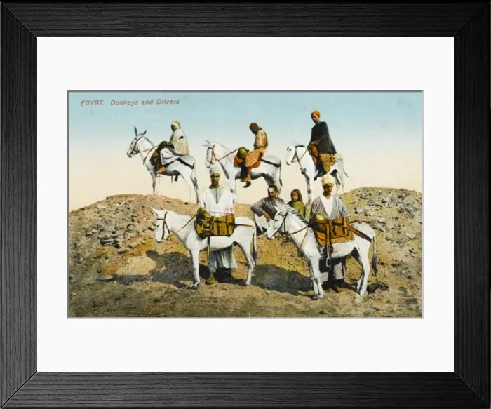 Framed Print : Egypt - Donkeys & Donkey Drivers Framed Print : Egypt - Donkeys & Donkey Drivers