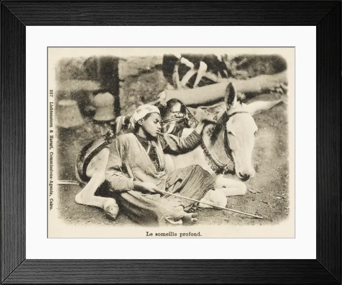 Framed Print : Young Blind boy asleep with his mule Framed Print : Young Blind boy asleep with his mule