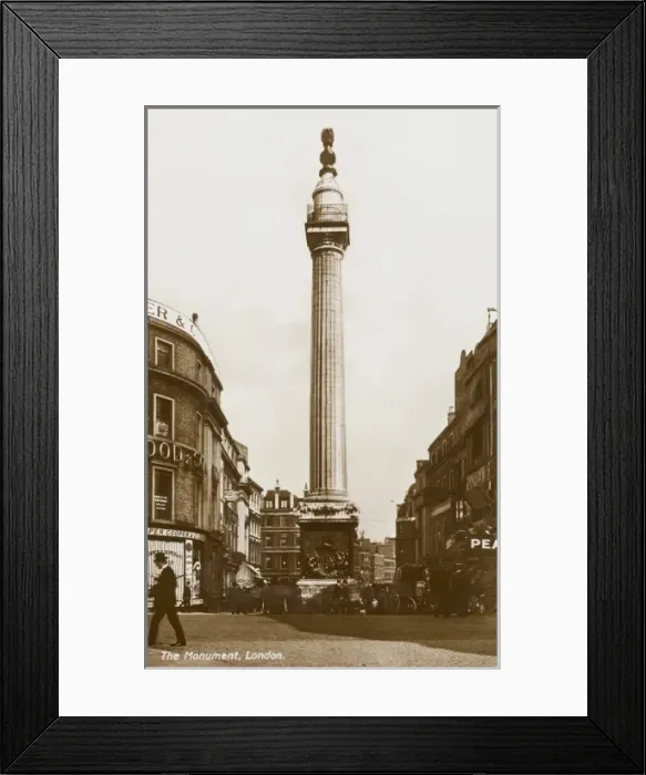 Framed Print : The Monument, London Framed Print : The Monument, London