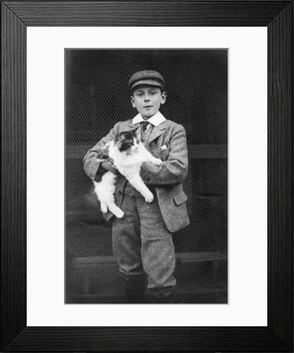 Framed Print : Prince Maurice of Battenberg Framed Print : Prince Maurice of Battenberg