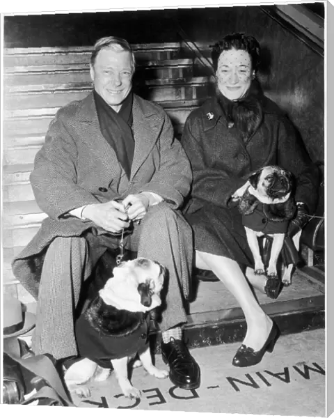Duke and Duchess of Windsor with their pugs