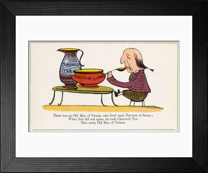 Framed Print : Lear / Nonsense / Vienna Framed Print : Lear / Nonsense / Vienna