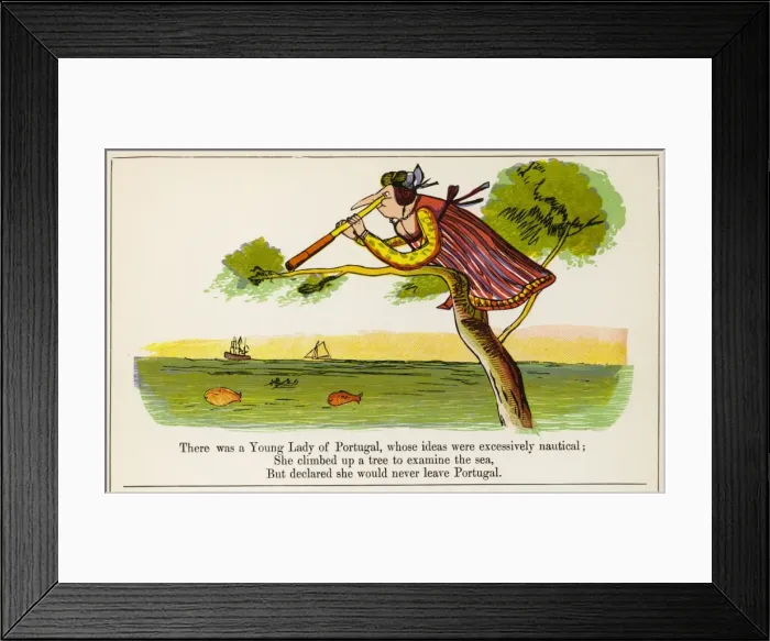 Framed Print : Lear / Nonsense / Portugal Framed Print : Lear / Nonsense / Portugal
