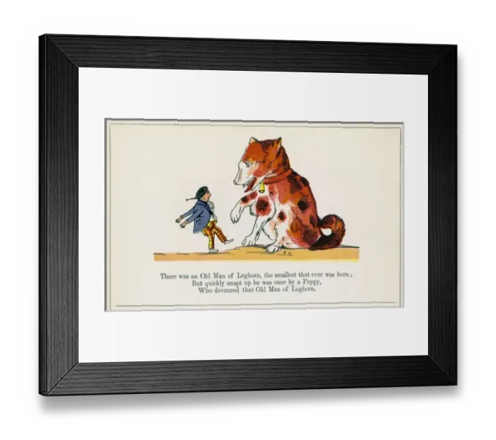 Framed Print : Lear / Nonsense / Leghorn Framed Print : Lear / Nonsense / Leghorn