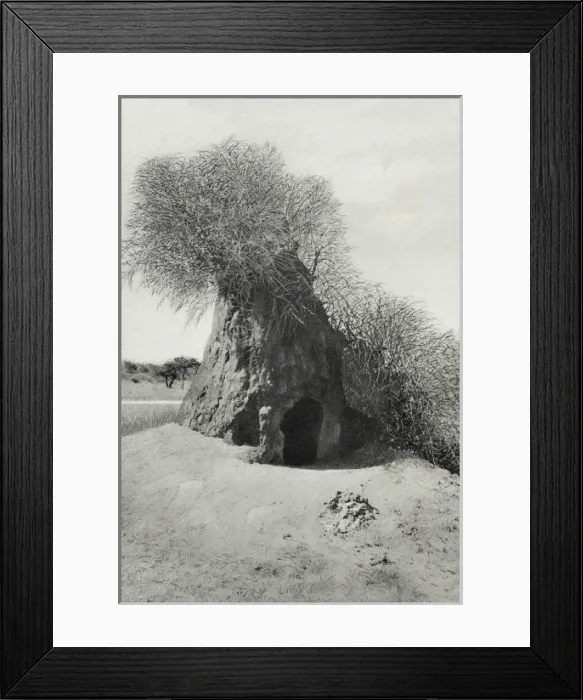 Framed Print : Namibia - A Termite Mount Framed Print : Namibia - A Termite Mount