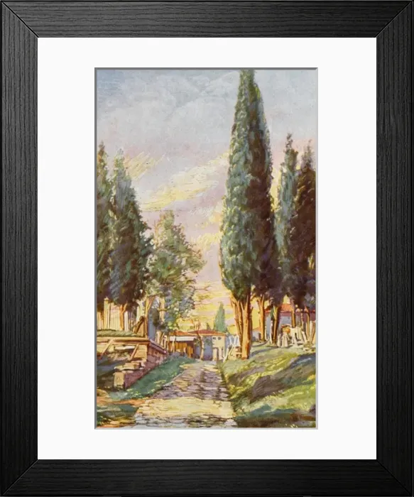Framed Print : Constantinople - Cemetery at Eyoub Framed Print : Constantinople - Cemetery at Eyoub
